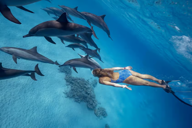Hurghada| Dolphin House