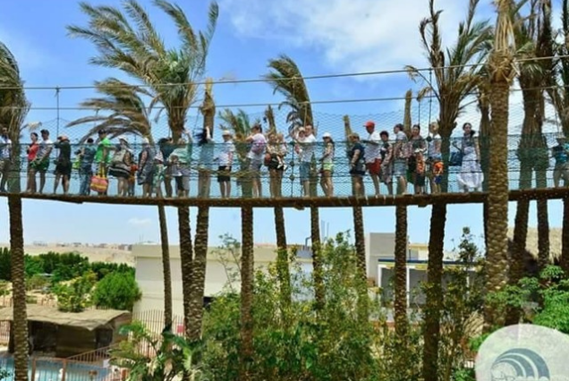 Hurghada| Grand Aquarium
