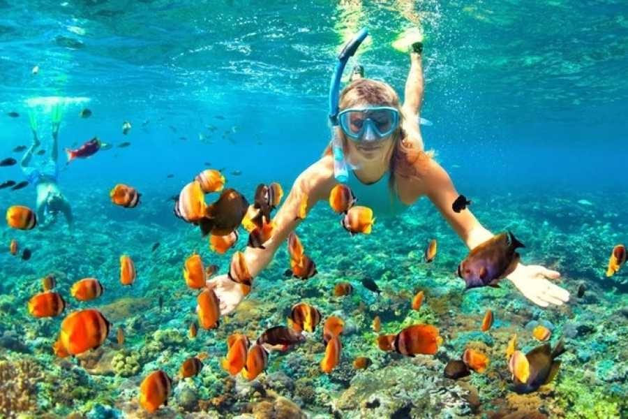 Hurghada Paradise Island Snorkeling Trip