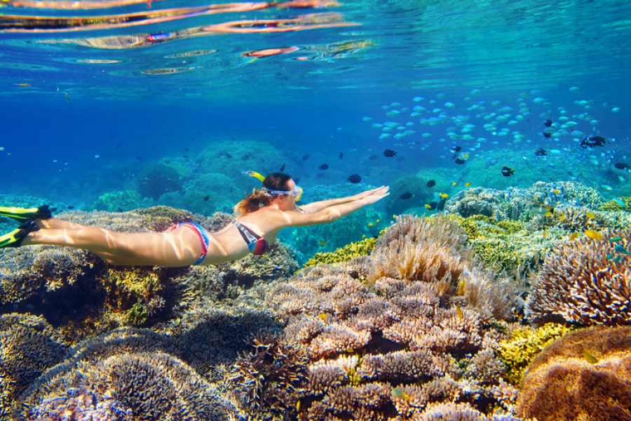Abu Dabab Snorkeling Tours in Marsa Alam