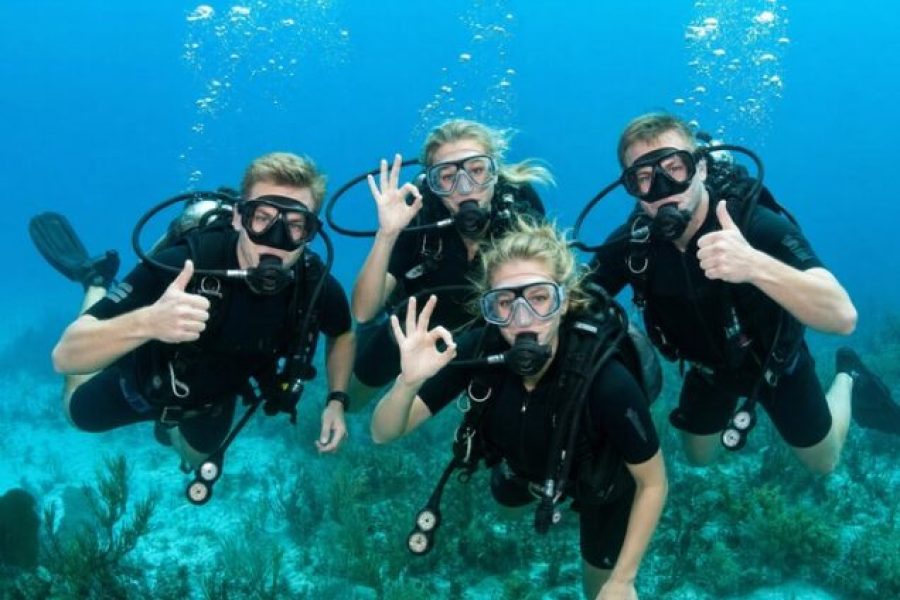 Hurghada diving