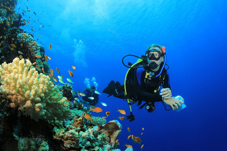 Hurghada diving